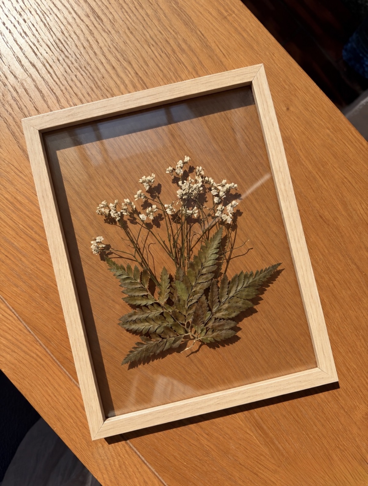 Pressed white wildflowers and fern floating between glass in a light oak frame